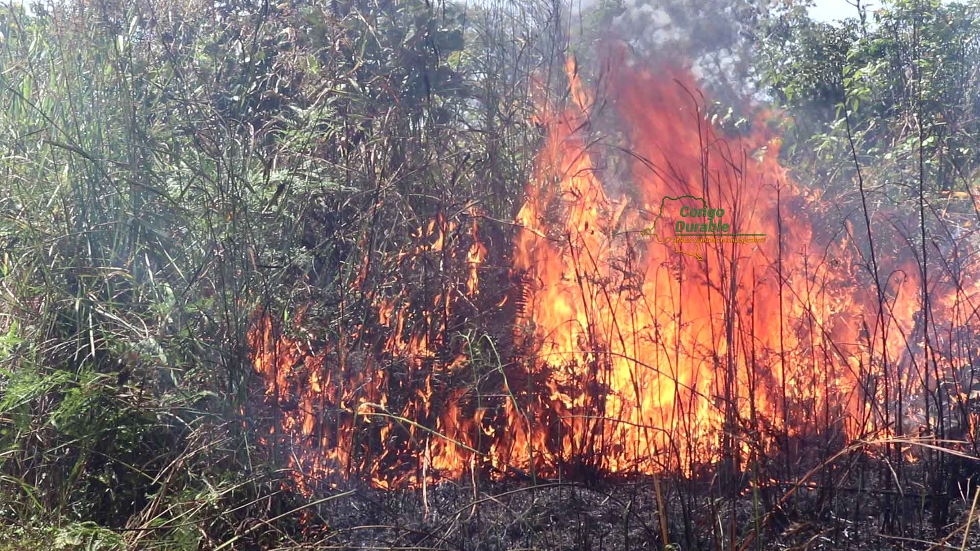 Harmattan au Togo : Alerte aux incendies