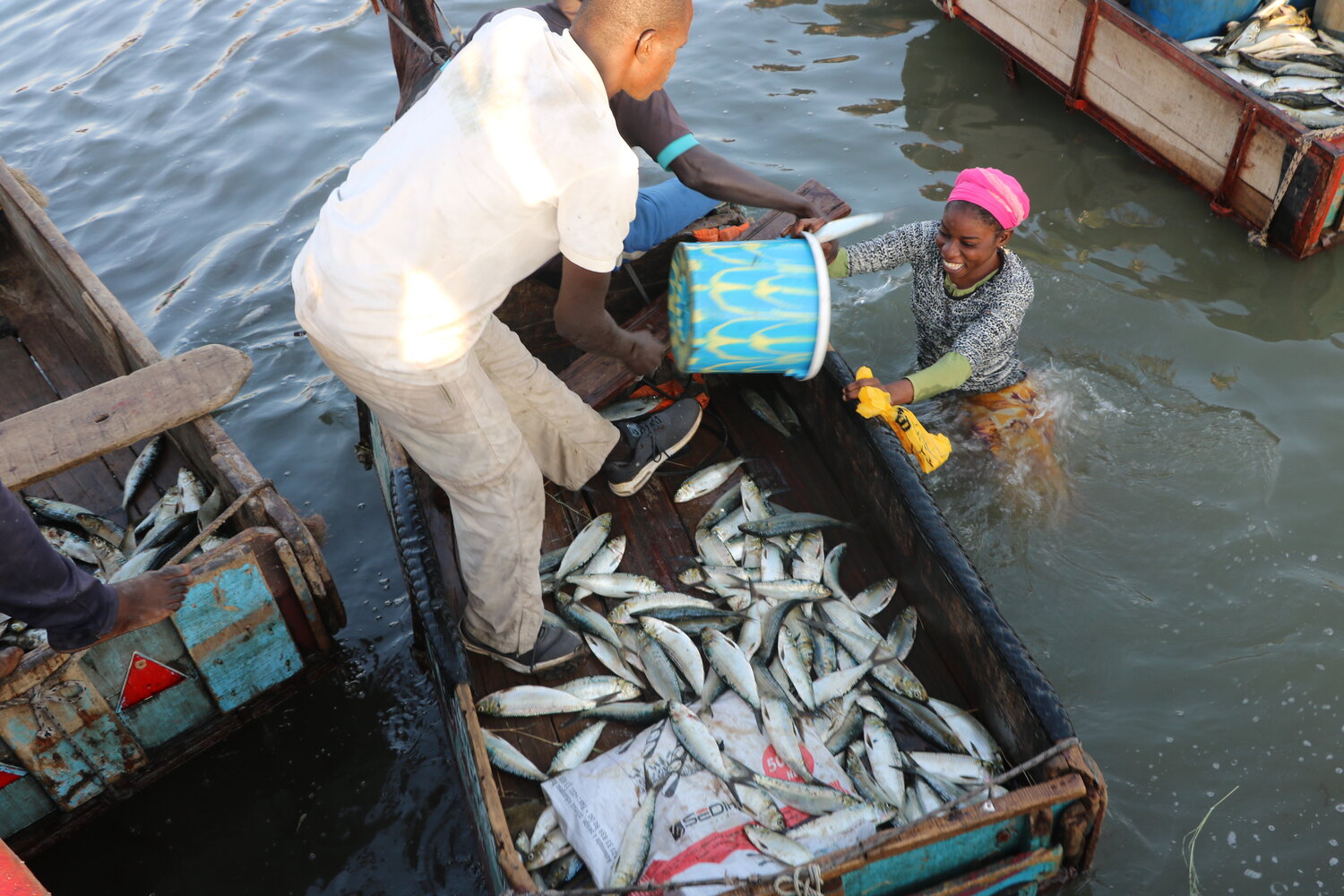 Performances en hausse dans le secteur de la pêche au Togo en 2023