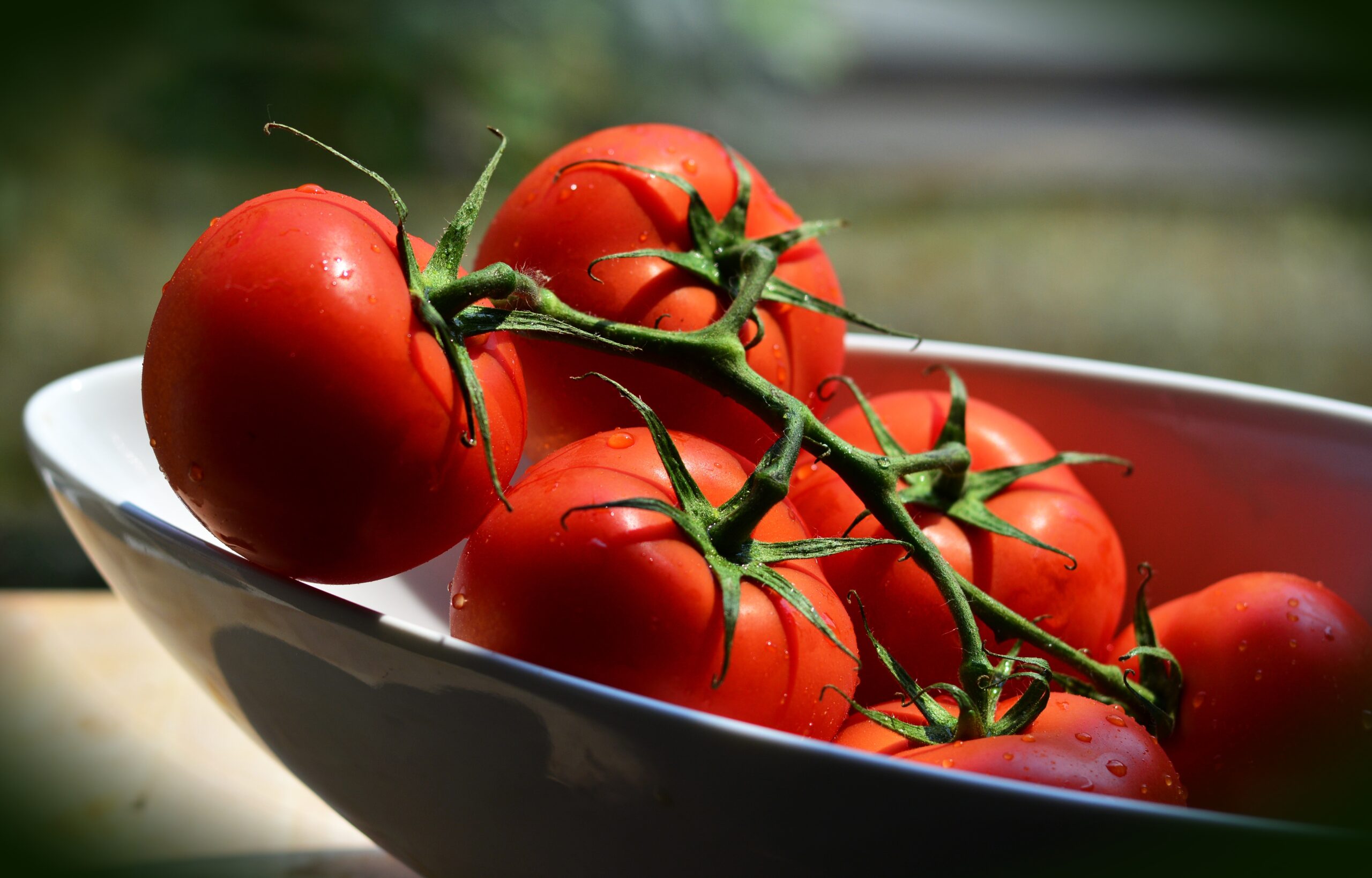 Togo : Formation des producteurs de tomate à Assoli
