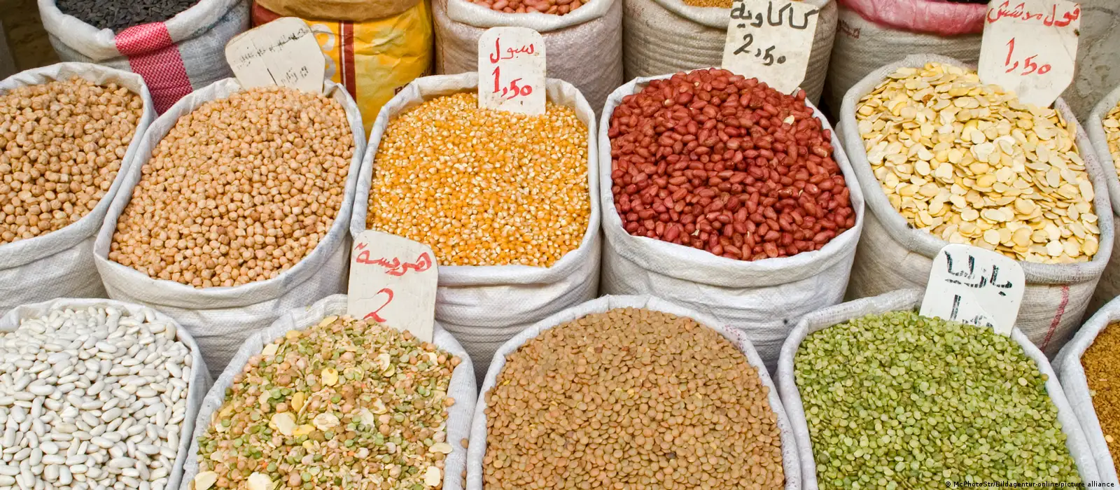 Bénin : Suspension temporaire de l'exportation des céréales et des tubercules