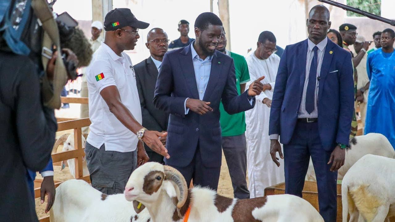 beau geste de Bassirou Diomaye Faye pour la fête de Tabaski