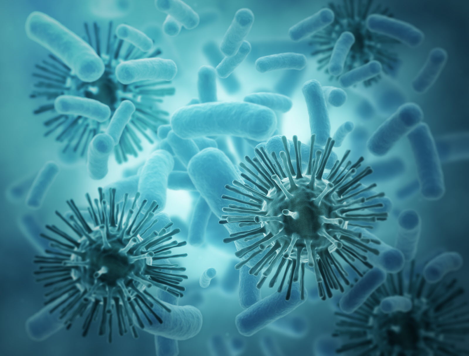 Le Virus Nipah : Une nouvelle menace sanitaire mondiale