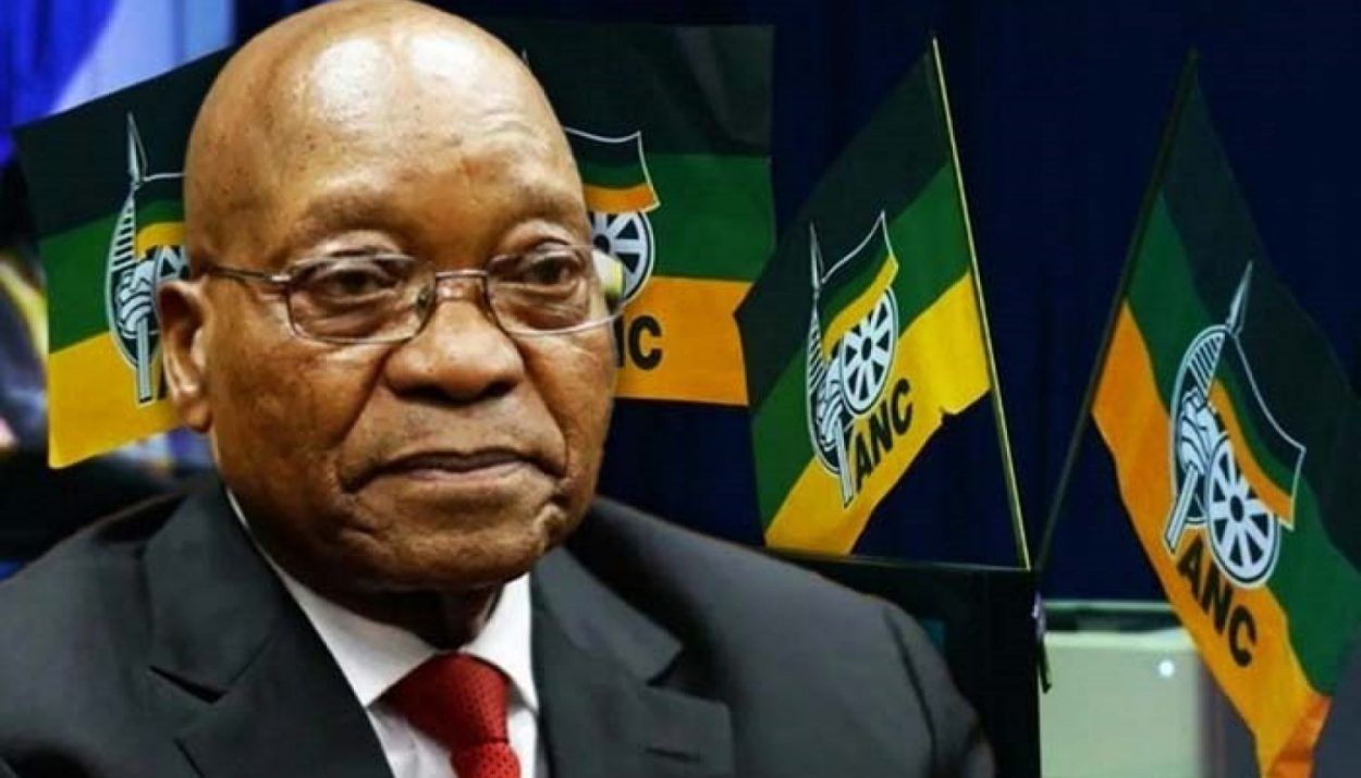 Afrique du Sud : Jacob Zuma expulsé de l'ANC
