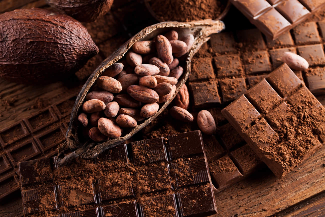 Ghana : Augmentation des prix du cacao, les détails