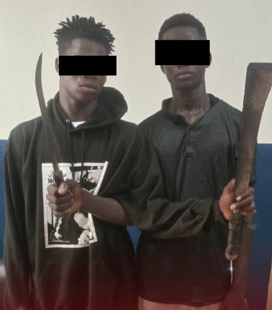 Agression et viol : 02 malfrats interpellés par la BRI SUD