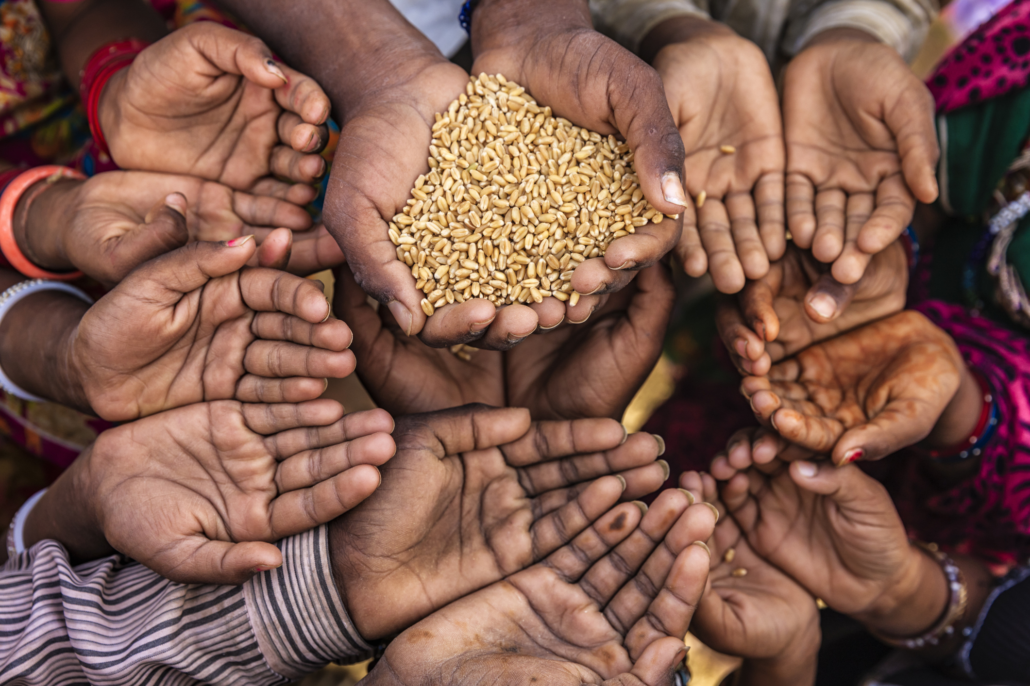 "Woèdodé" : Une initiative de Togonyonu pour lutter contre l'insécurité alimentaire