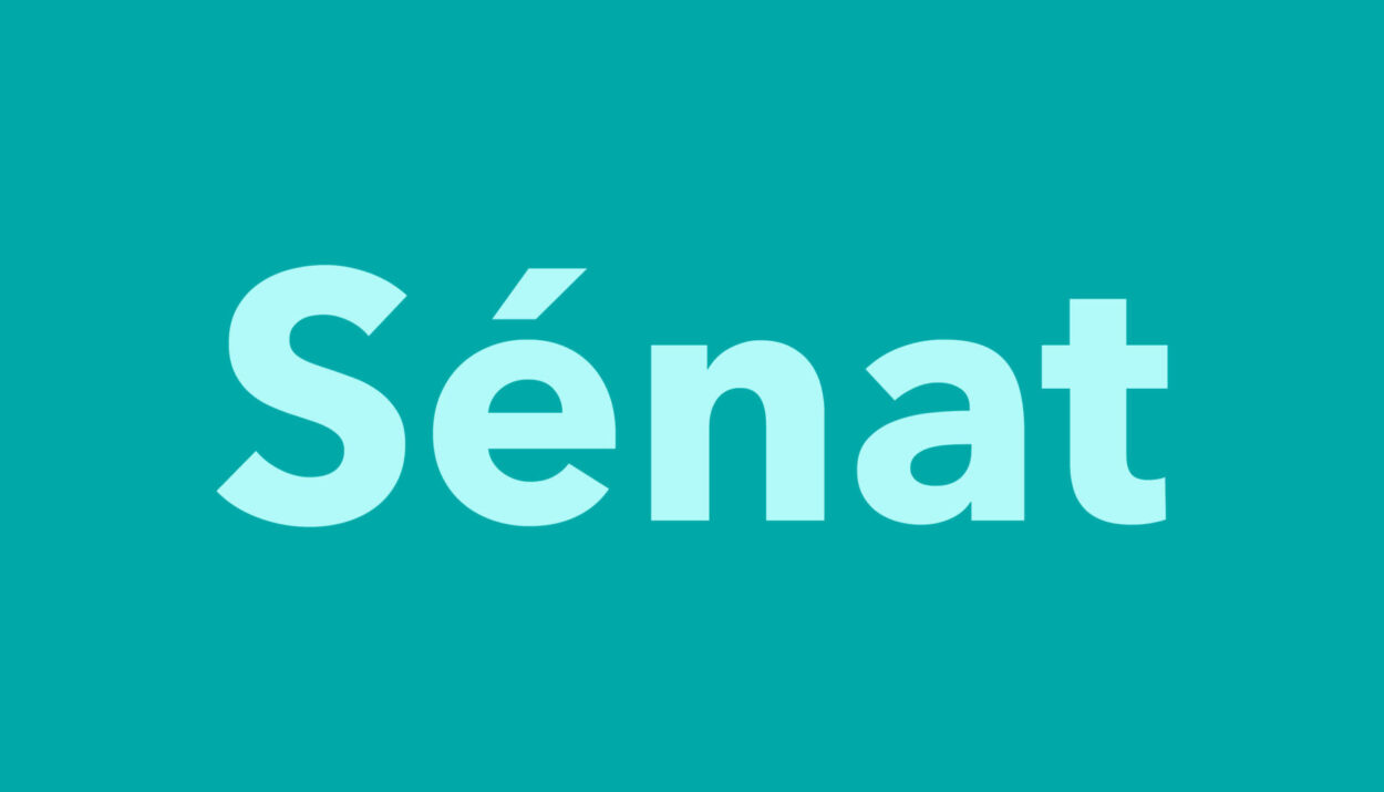 Le NET confirme sa participation aux élections sénatoriales au Togo