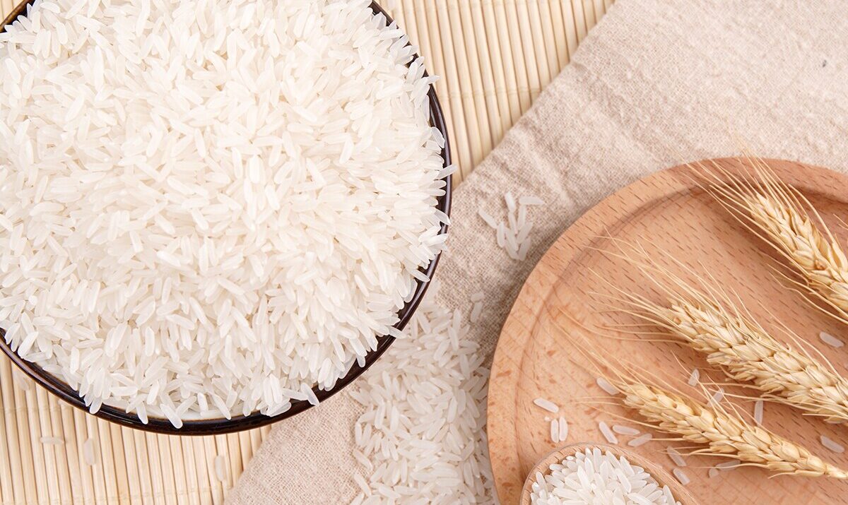 Le riz de Kovié entre dans l’histoire : Première IGP du Togo reconnue par l’OAPI